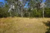 Lot 105 97 Long Gully Road, Drake, NSW 2469-Image