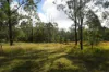 Lot 105 97 Long Gully Road, Drake, NSW 2469-Image