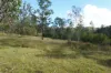 Lot 105 97 Long Gully Road, Drake, NSW 2469-Image