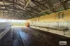LOT 105 Patterson Road, Tarzali, Qld 4885-Image
