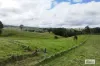 LOT 105 Patterson Road, Tarzali, Qld 4885-Image