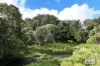 LOT 105 Patterson Road, Tarzali, Qld 4885-Image