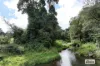 LOT 105 Patterson Road, Tarzali, Qld 4885-Image