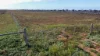 LOT 11 Beach Road, Cowell, SA 5602-Image
