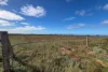 LOT 11 Beach Road, Cowell, SA 5602-Image