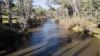 Lot 11 Mole River Road, Tenterfield, NSW 2372