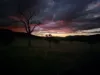 Lot 11 Mole River Road, Tenterfield, NSW 2372-Image