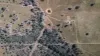Lot 11 Mole River Road, Tenterfield, NSW 2372-Image
