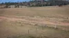 Lot 11 Mole River Road, Tenterfield, NSW 2372-Image