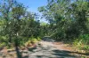 Lot 11 Nardoo Street, Pindimar NSW 2324-Image