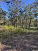 Lot 11 Nardoo Street, Pindimar NSW 2324-Image