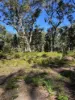 Lot 11 Nardoo Street, Pindimar NSW 2324-Image