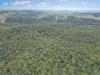 Lot 12, Busbys Flat NSW 2469-Image