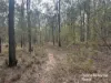 Lot 12 Curlew Rd, Ballogie, Qld 4610-Image
