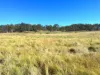 Lot 123, Barker Creek - Kunioon Road, Goodger, Qld 4610-Image