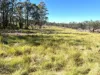 Lot 123, Barker Creek - Kunioon Road, Goodger, Qld 4610-Image