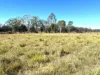 Lot 123, Barker Creek - Kunioon Road, Goodger, Qld 4610-Image