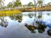 Lot 124, Old Taabinga Road, Brooklands, Qld 4615