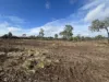 Lot 124, Old Taabinga Road, Brooklands, Qld 4615-Image