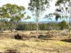 Lot 124, Old Taabinga Road, Brooklands, Qld 4615-Image