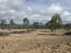 Lot 124, Old Taabinga Road, Brooklands, Qld 4615-Image