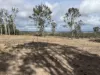 Lot 124, Old Taabinga Road, Brooklands, Qld 4615-Image
