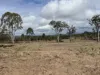 Lot 124, Old Taabinga Road, Brooklands, Qld 4615-Image