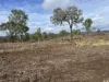 Lot 124, Old Taabinga Road, Brooklands, Qld 4615-Image