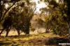 Lot 128 Keyneton Road, Keyneton, SA 5353-Image