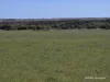 Lot 13 Port Gregory Road, Yallabatharra, WA 6535