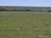 Lot 13 Port Gregory Road, Yallabatharra, WA 6535-Image