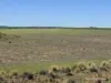 Lot 13 Port Gregory Road, Yallabatharra, WA 6535-Image