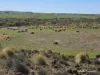 Lot 13 Port Gregory Road, Yallabatharra, WA 6535-Image