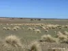 Lot 13 Port Gregory Road, Yallabatharra, WA 6535-Image