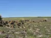 Lot 13 Port Gregory Road, Yallabatharra, WA 6535-Image