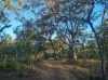 Lot 131 Seabreeze Court, Deepwater, Qld 4674-Image