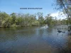 Lot 131 Seabreeze Court, Deepwater, Qld 4674-Image