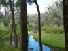 Lot 140 Vasse Highway, Nannup, WA 6275