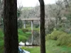 Lot 140 Vasse Highway, Nannup, WA 6275-Image