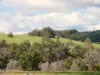 Lot 140 Vasse Highway, Nannup, WA 6275-Image