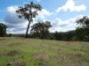 Lot 140 Vasse Highway, Nannup, WA 6275-Image