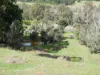 Lot 140 Vasse Highway, Nannup, WA 6275-Image