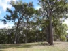 Lot 140 Vasse Highway, Nannup, WA 6275-Image