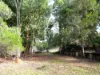 Lot 140 Vasse Highway, Nannup, WA 6275-Image