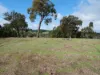 Lot 140 Vasse Highway, Nannup, WA 6275-Image