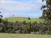 Lot 140 Vasse Highway, Nannup, WA 6275-Image