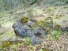 Lot 140 Vasse Highway, Nannup, WA 6275-Image
