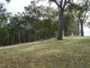 Lot 140 Vasse Highway, Nannup, WA 6275-Image