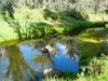 Lot 140 Vasse Highway, Nannup, WA 6275-Image