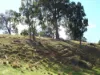 Lot 140 Vasse Highway, Nannup, WA 6275-Image